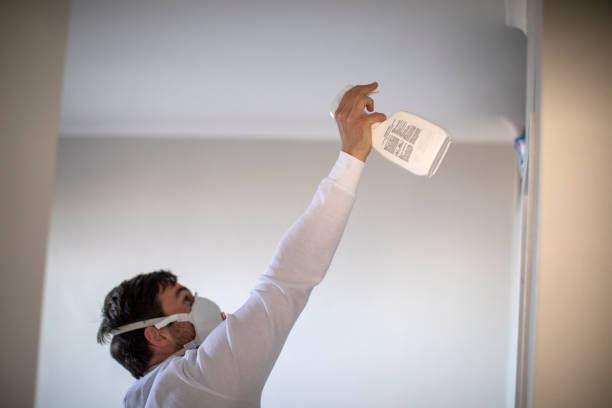 Best Office Mold Removal Services  in White Cloud, MI