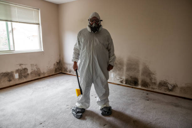 Crawl Space Mold Removal in White Cloud, MI